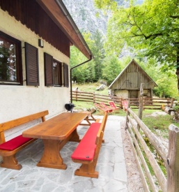 Počitniška hiša Trenta