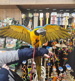 Poceni trgovina za živali Novo mesto