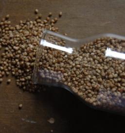 Dober čistilec zrnja