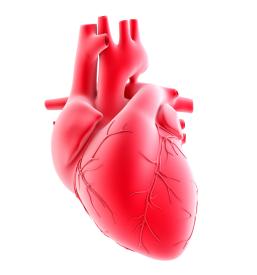 Samoplačniška kardiološka ambulanta Ljubljana