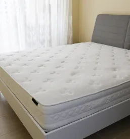 čiščenje oblazinjenega pohištva