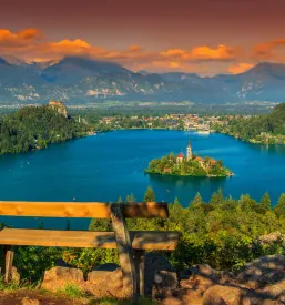 Organizacija konferenc Bled
