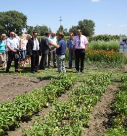 TV oddaje o kmetijstvu