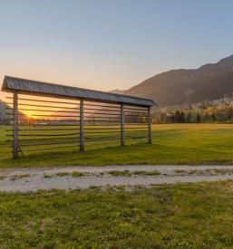 Kvalitetno urejanje okolja in košnja trave Maribor in okolica