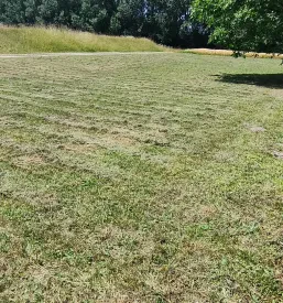 Ugodno vzdrževanje in urejanje okolice Maribor, Štajerska