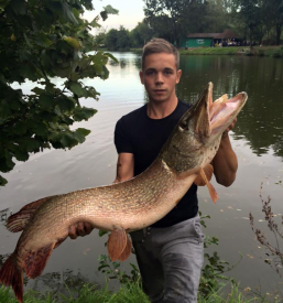 Prodaja ribolovnih dovolilnic Rače