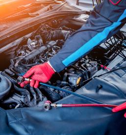 Najboljši avtoservis Rače, Podravska