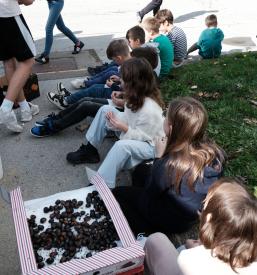 Vpis v vrtec Prosenjakovci