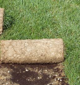 Valjar za valjanje trave