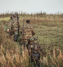 Lov na divjad in lovni turizem Brezovica