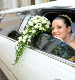 Ugoden prostor za poroke Posavska