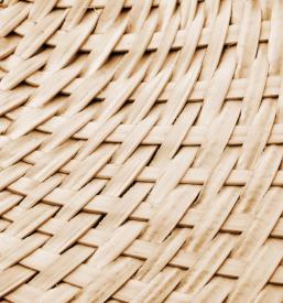 Kulturni in turistični dogodki Moravske Toplice