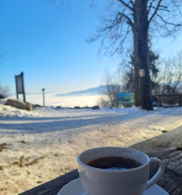 Malica Planina nad Vrhniko