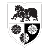 Beli medved, fizioterapija d.o.o.