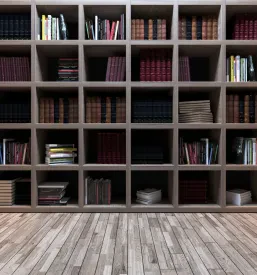 Literarni večeri Mežiška dolina, Koroška