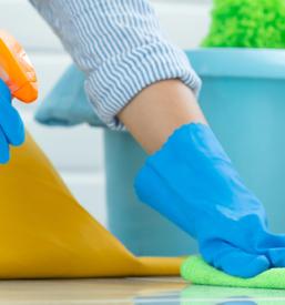 Redno čiščenje stanovanj Ljubljana, okolica