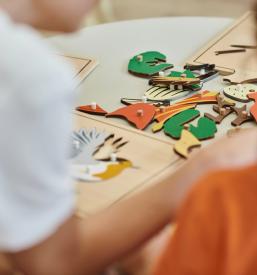 Montessori varstvo otrok v Ljubljani