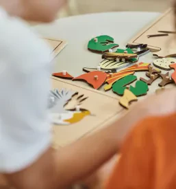 Montessori varstvo otrok v Ljubljani