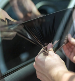 Folija in temnenje stekel Maribor, Štajerska