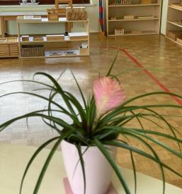 Najboljši zasebni vrtec