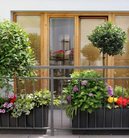 Urejanje okolice na Savinjskem