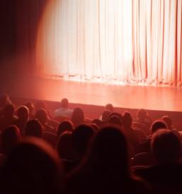 Gledališki režiser Slovenija