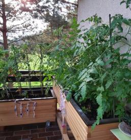 Dobava in montaža Velux oken Savinjska