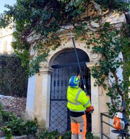 Sajenje rož na grobove Mestno pokopališče Celje