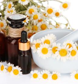 Delavnice in tečaji za izdelavo izdelkov iz zelišč Kočevje