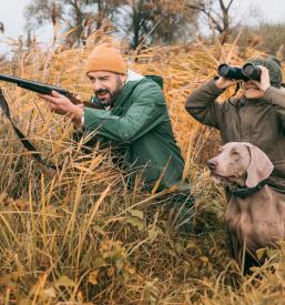 Lov na divjad Brezovica