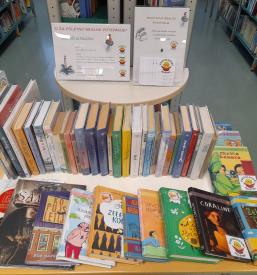 Bibliobus Sevnica, Posavje