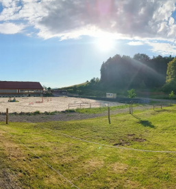 Ugodna šola jahanja Domžale