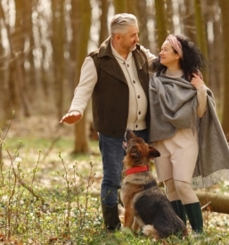 Transformativna mediacija Slovenija