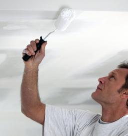 Dober slikopleskar Primorska