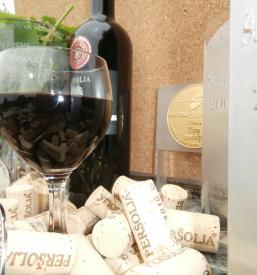 Ogled vinske kleti Goriška Brda