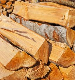 Gozdar Vinica, Črnomelj