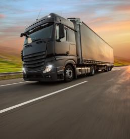 Mednarodni prevozi blaga Slovenija cena