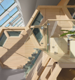 Ogled razstave o čebelah Višnja Gora