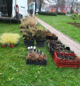 Urejanje zelenih površin