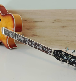 Izdelava unikatnih kitar po meri Slovenija