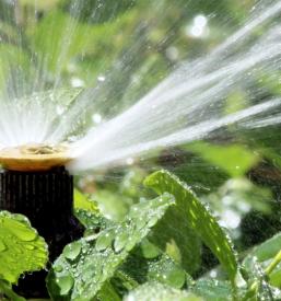 Slikopleskarstvo in urejanje okolice Dolenjska