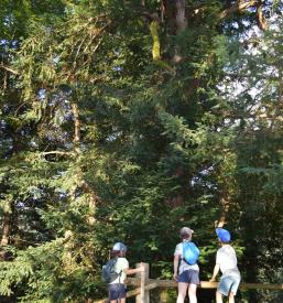 Turistične prireditve Solčava, Savinjska