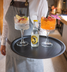 Najboljši prostor za zaključene družbe Kozina - Tonca