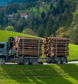 Obdelava, odkup in prodaja hlodovine Savinjska