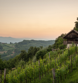 House for rent Dolenjska, Slovenia