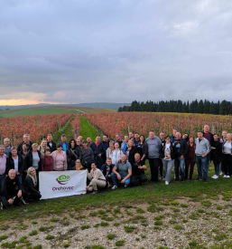 Turizem Kostanjevica na Krasu