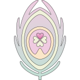 Andreja Kočevar s.p.