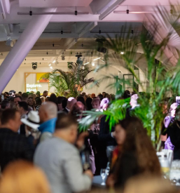 Vrhunske jedi in catering za konference Slovenija