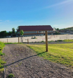 Dobra šola jahanja Domžale