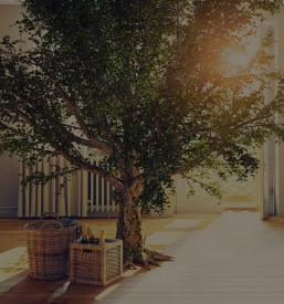 Klime in toplotne črpalke na Savinjskem v Sloveniji